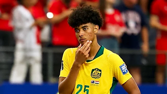 Soccer-Ibrahimovic offers support to Australia's Herrington after World Cup penalty heartbreak