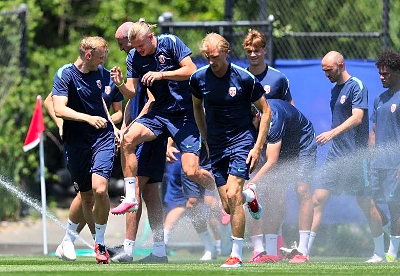 Soccer-Norway must keep cool heads in World Cup clash with Brazil, says Solbakken