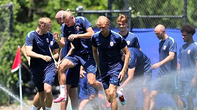 Soccer-Norway must keep cool heads in World Cup clash with Brazil, says Solbakken