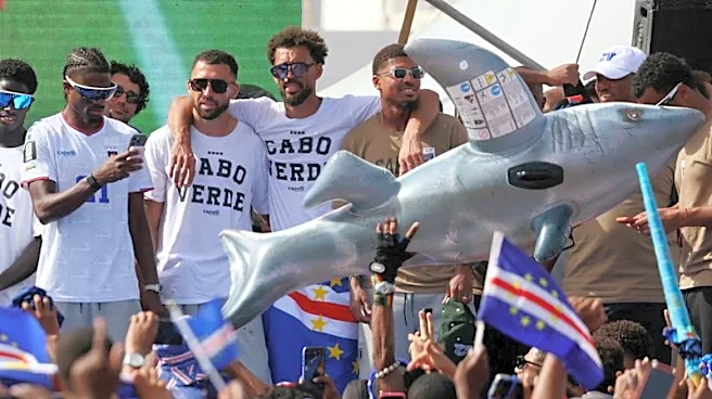 Soccer-Obrigado! Heroes' welcome for Cape Verde squad on return from World Cup