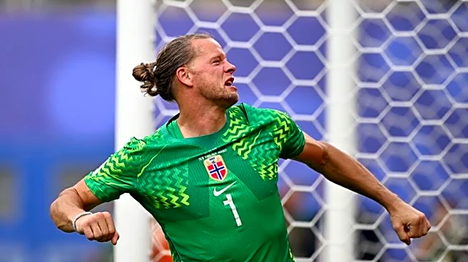 Soccer-Keeper Nyland steps out of the shadows to propel Norway to World Cup win over Brazil
