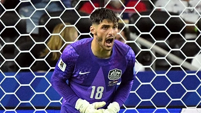 Soccer-Australia's Beach backs coach after goalkeeper switch falls flat in World Cup shootout
