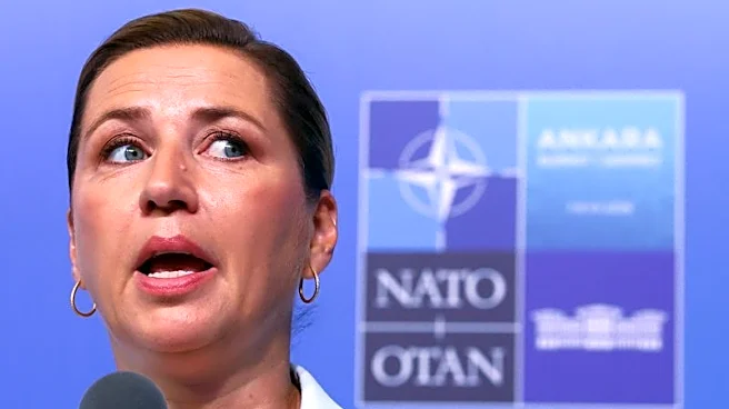 Denmark ready to defend 'every inch of NATO', including Danish kingdom, PM says