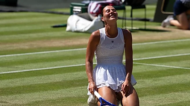 Tennis-Wimbledon's revolving door of women's champions spins on with surprise last four