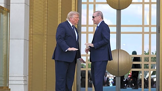 Analysis-Trump's visit a win for Turkey's Erdogan, NATO tensions aside