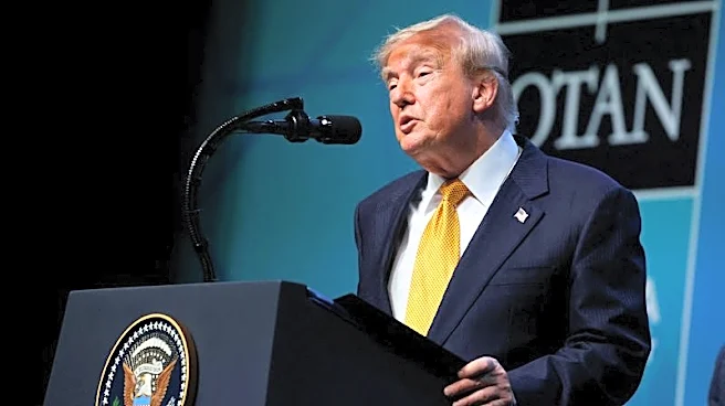 Trump terminates Election Assistance Commission members
