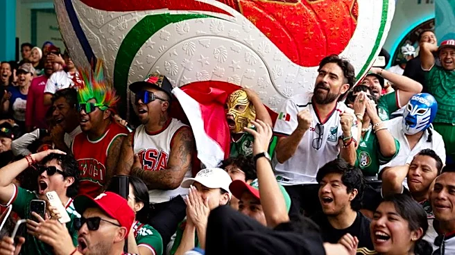 World Cup brings fans joy, torment and lifelong memories