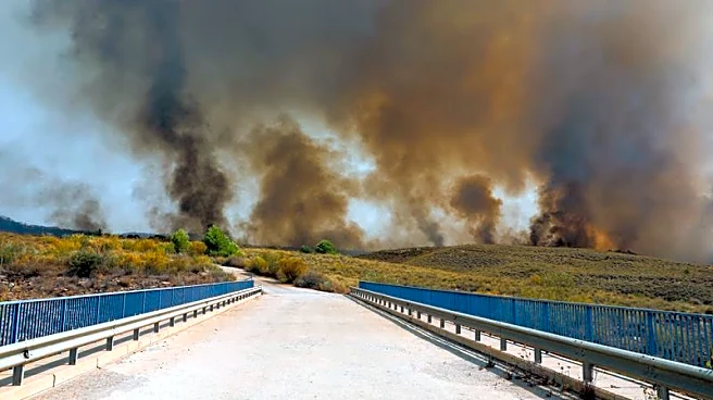 Spanish wildfire victims burned in cars as roads turned into death traps