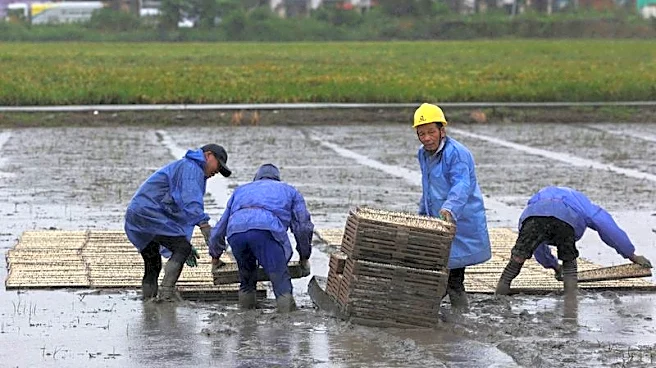 China evacuates over one million as Typhoon Bavi nears