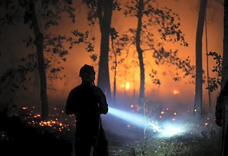 Firefighters battle Fontainebleau forest fire near Paris as two arrested