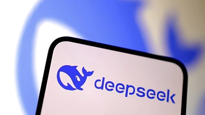 China's DeepSeek considers raising more funds, reports say