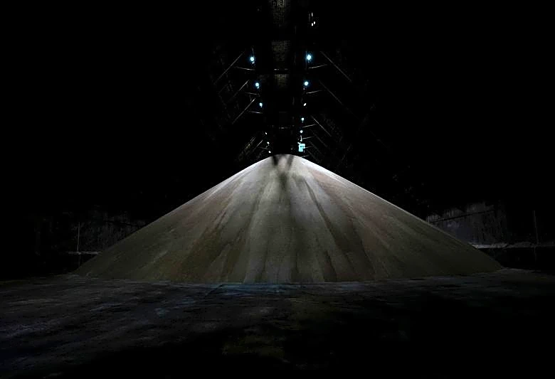 US tariffs on Brazil are a bitter pill for sugar and ethanol makers