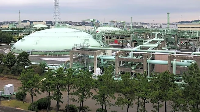 Exclusive-JERA begins study on US listing as it steps up overseas expansion, sources say