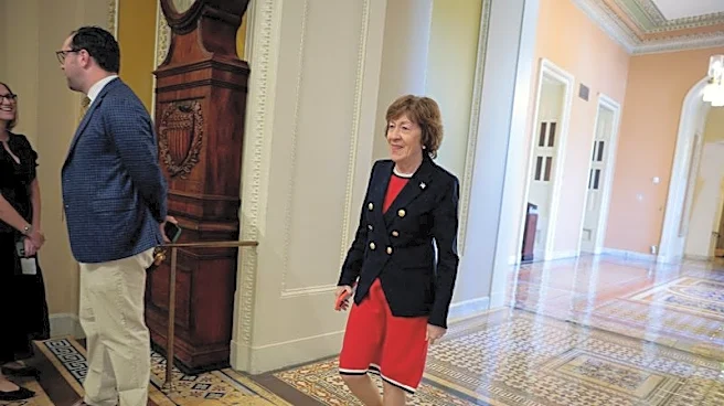 Maine Democratic Senate candidates brand Collins a Trump enabler in debate