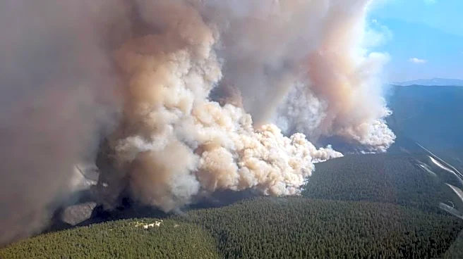 Trump says he told Carney that Canada must get wildfires under control