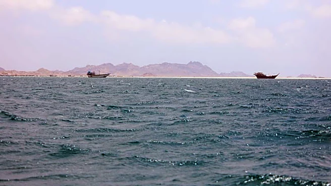 Explainer-How a Houthi blockade in the Red Sea tightens Iran's grip on global energy supplies