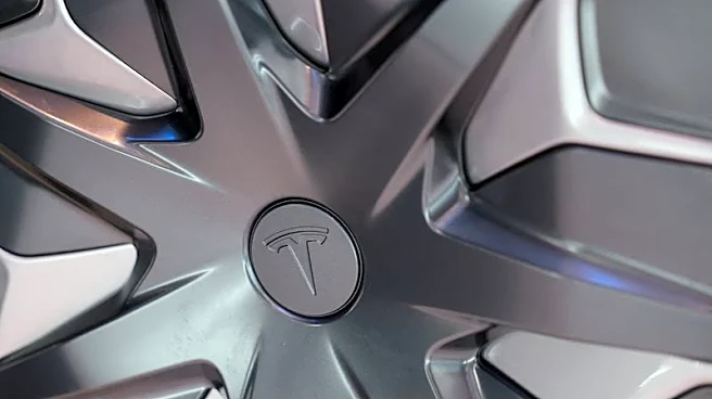 Tesla cash burn to test investor faith in AI bets