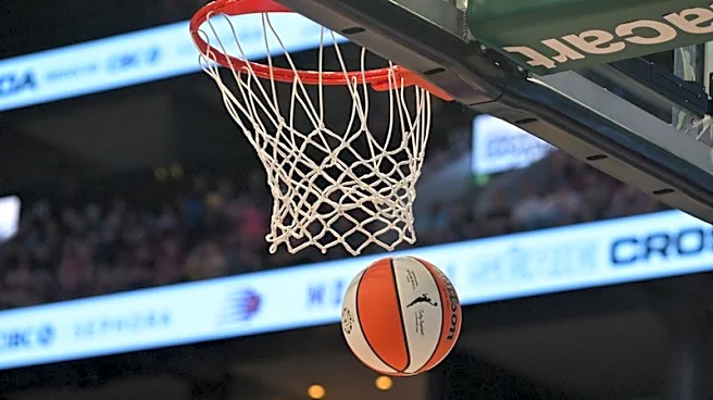 Basketball-WNBA, players' union vow stronger security measures amid online abuse concerns
