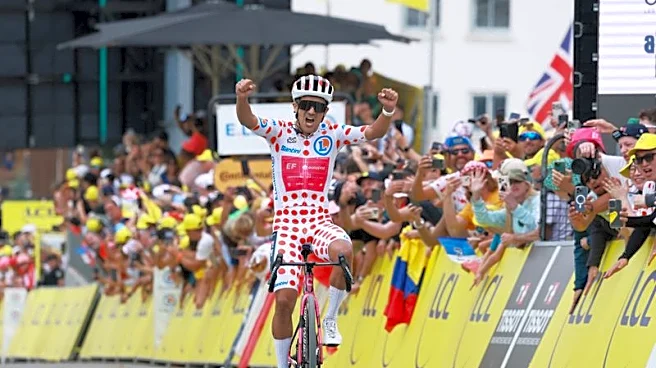 Cycling-Ecuadorian Carapaz wins 20th stage of Tour de France