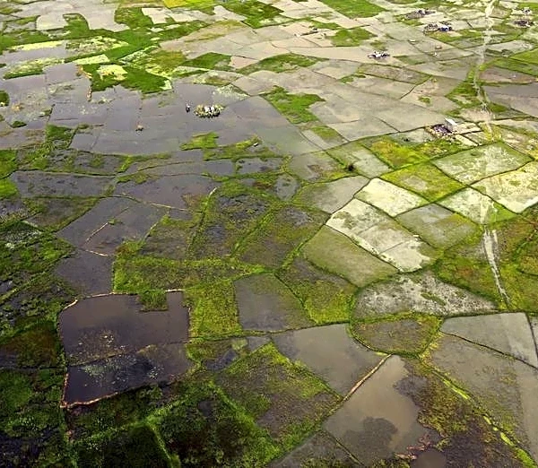 Africa facing up to $20 billion economic hit from 'super' El Niño, AfDB climate chief warns