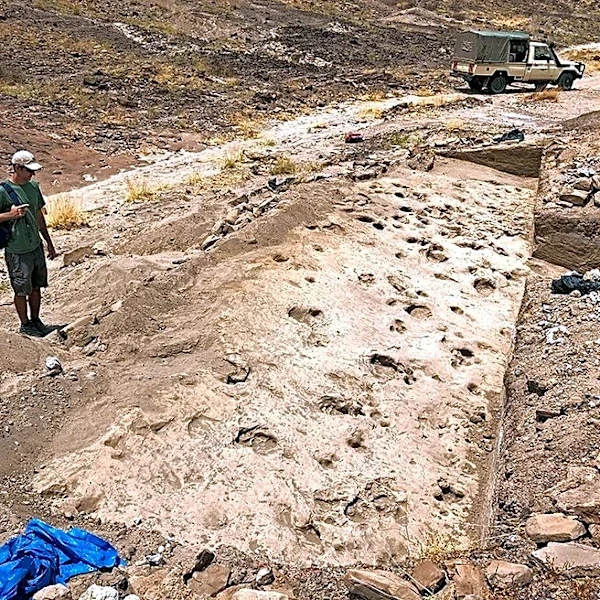 Kenyan footprints shed light on prehistoric human cousin Paranthropus