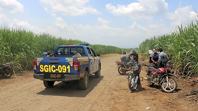 Guatemalan man deported from US and wife found dead in sugarcane field, baby alive beside them