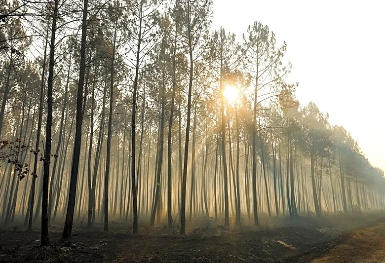 Major wildfire stabilises in central Spain but rising temperatures bring new alerts