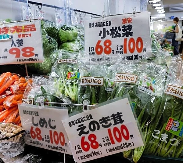 Japan cuts this year's growth outlook as higher energy costs weigh