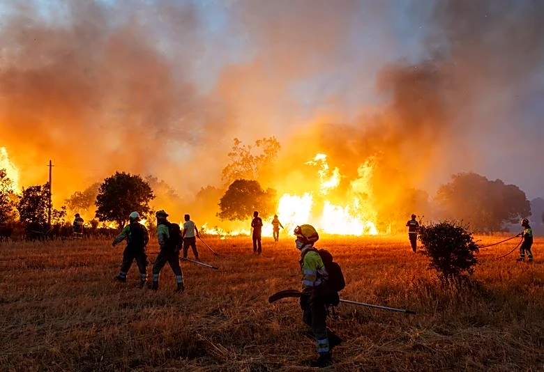 France, Spain and Greece battle wildfires as Europe swelters