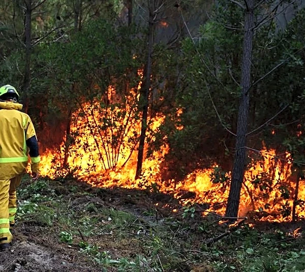 France and Spain win some respite, as wildfire battles rage across Europe