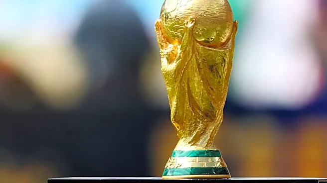 Soccer-Infantino adviser quits, report says FIFA World Cup sell-off plan is dead