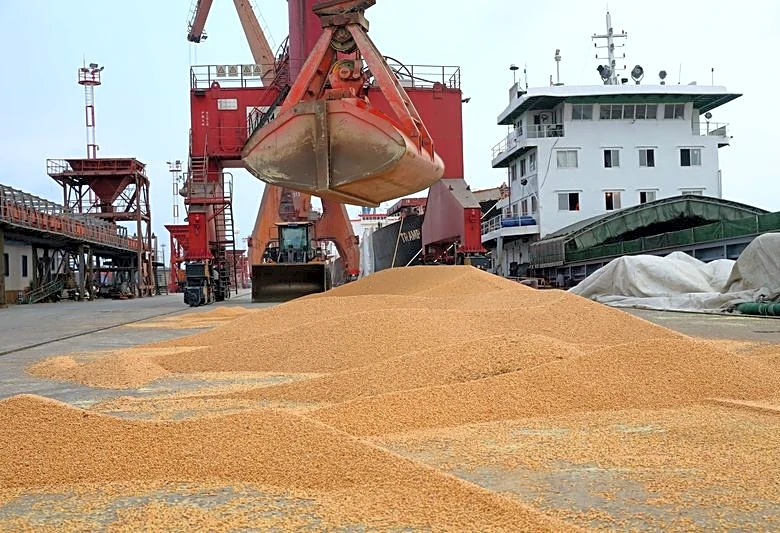 Exclusive-Chinese state traders make large US soybean purchases