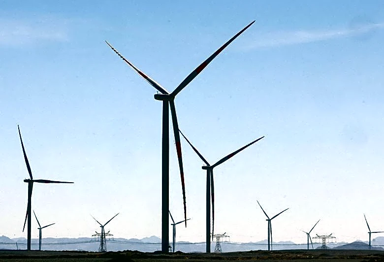 Analysis-Sustainable fund launches stutter amid industry caution