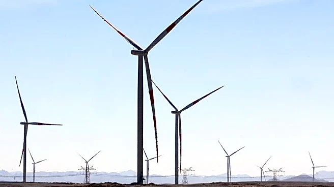 Analysis-Sustainable fund launches stutter amid industry caution