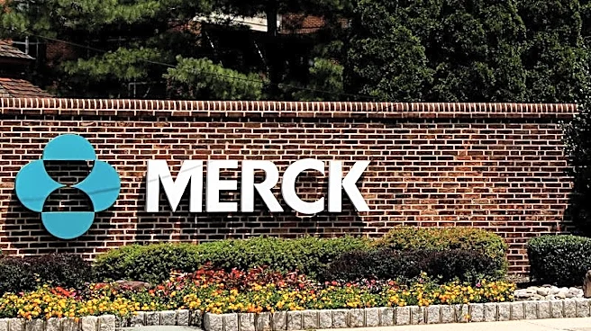 Merck posts better-than-expected second-quarter results on Keytruda strength