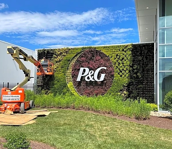 P&G is acquiring supplements maker Thorne for $3.8 billion, CEO Jejurikar tells CNBC
