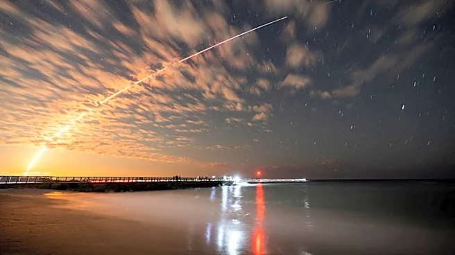 SpaceX quarterly revenue jumps in debut results as satellite, AI businesses surge