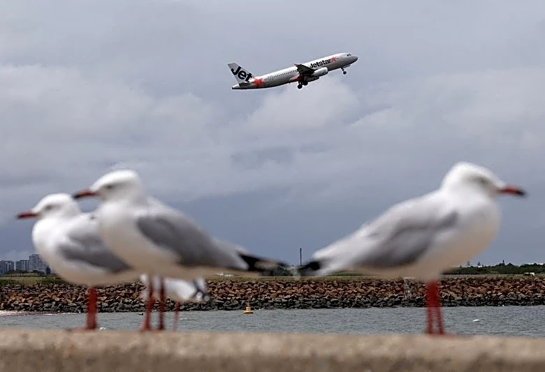 Australia's Jetstar to charge for carry-on bags in overhead lockers