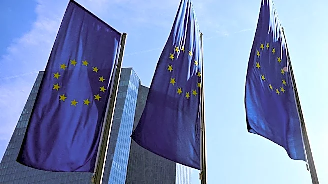 ECB says investment shift towards AI helps ease drag of uncertainty on euro zone growth