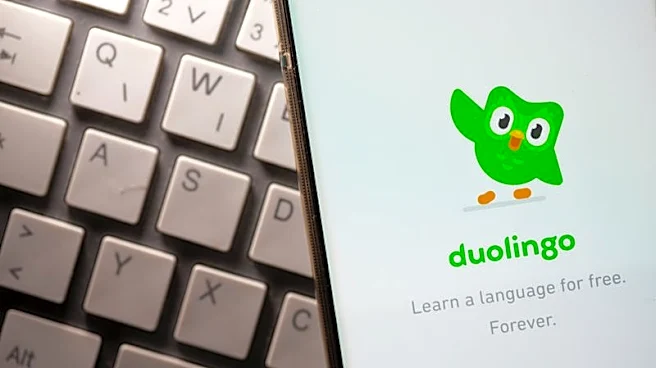 Duolingo's soft quarterly revenue outlook overshadows stronger user growth forecast