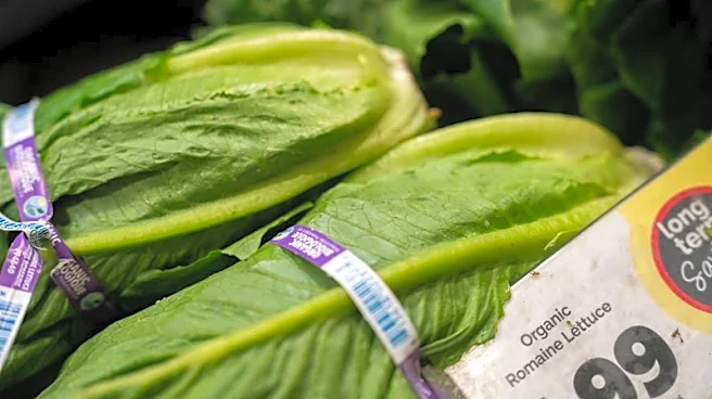 Michigan eases lettuce advice as state health department says cyclosporiasis reports decline
