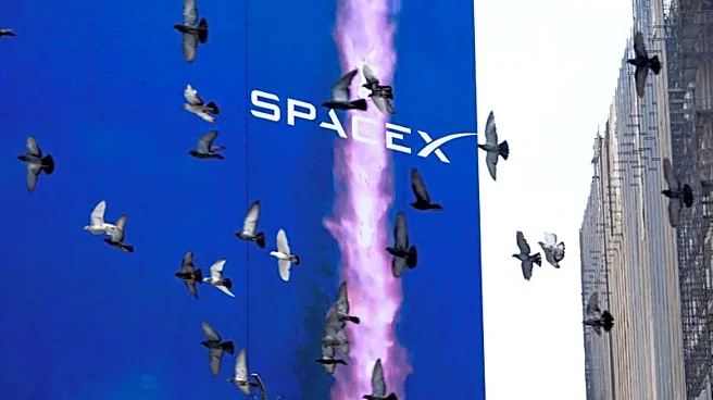 SpaceX stock climbs as shares available for trading more than double