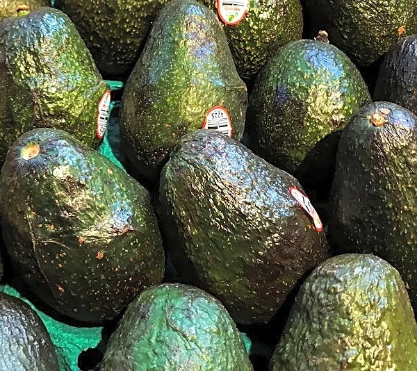 Mexico avocado group says US inspection halt unlikely to disrupt supply