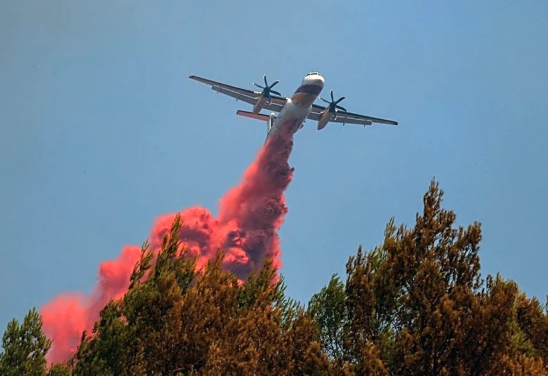Europe's would-be water bombers in race to tackle future wildfires