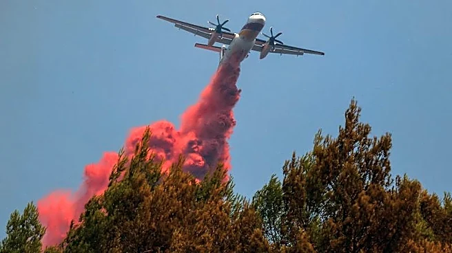 Europe's would-be water bombers in race to tackle future wildfires
