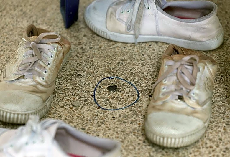 Thai teen kills 7 in rampage at home and school before shooting himself
