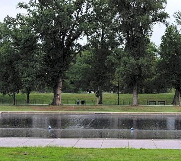 Trump urges Pirro to revisit decision to drop Reflecting Pool case alleging vandalism