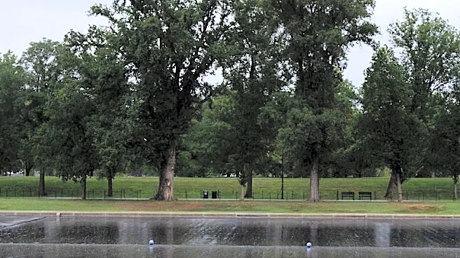Trump urges Pirro to revisit decision to drop Reflecting Pool case alleging vandalism
