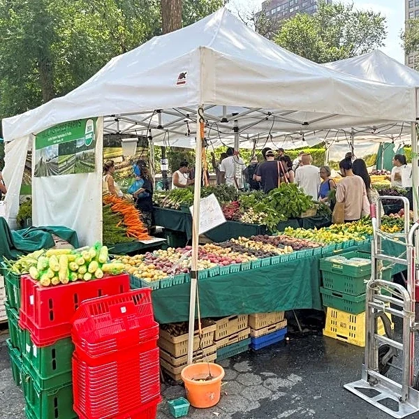 Michigan salad warnings ease, but cyclospora keeps shoppers and grocers on edge