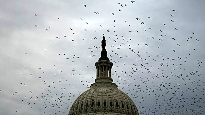 Senate adjourns without vote on college sports bill